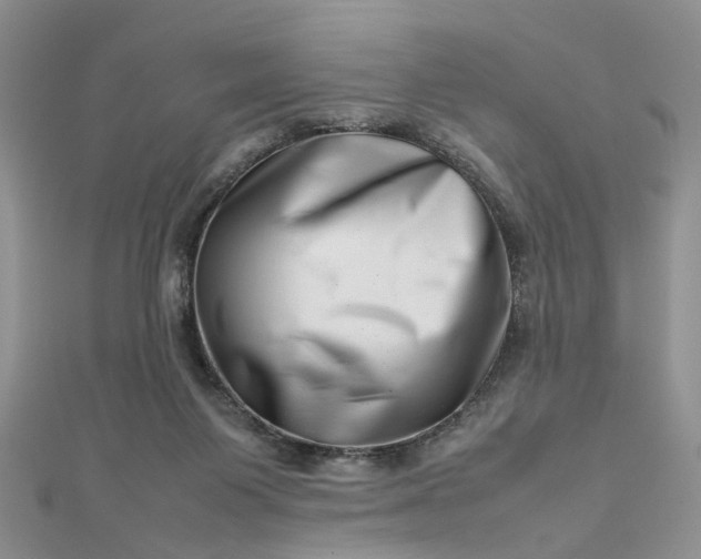 X0000112810119200909041502