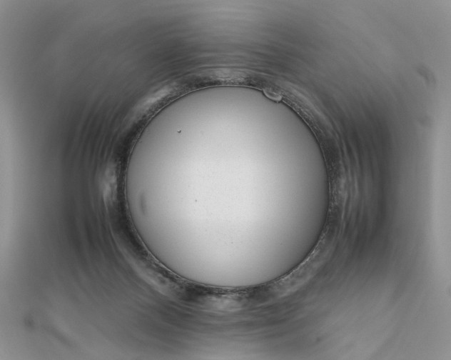 X0000112810120200909041502