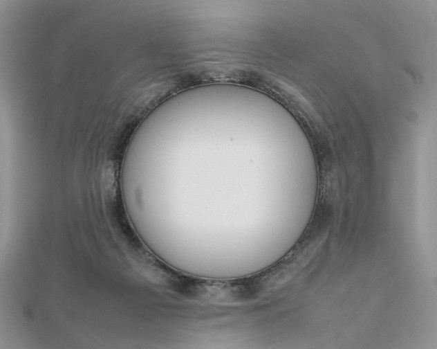 X0000112810121200909041502