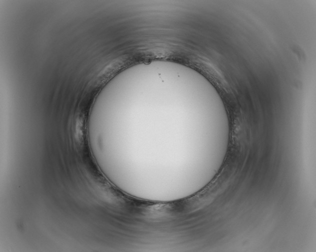 X0000112810122200909041502