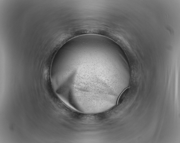 X0000112810123200909041502