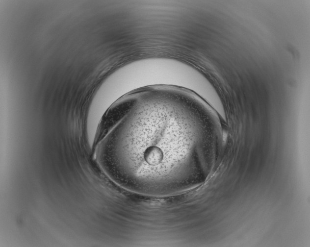 X0000112810124200909041502