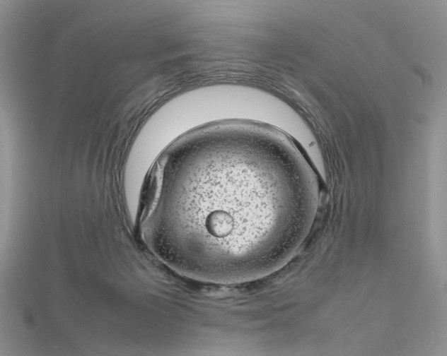 X0000112810125200909041502