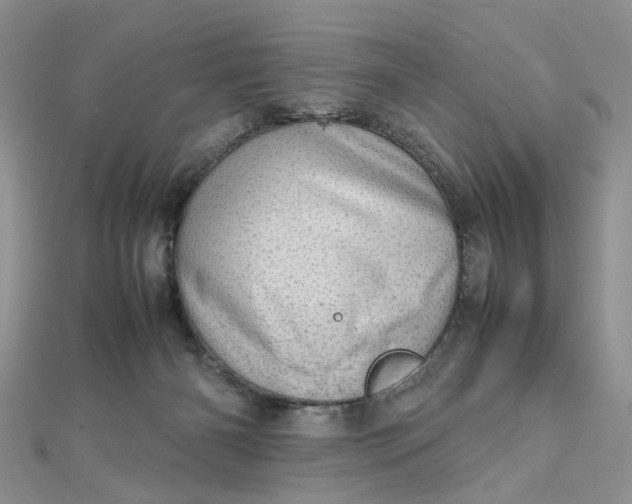 X0000112810126200909041502