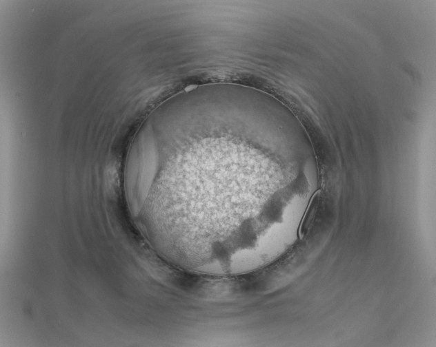 X0000112810127200909041502