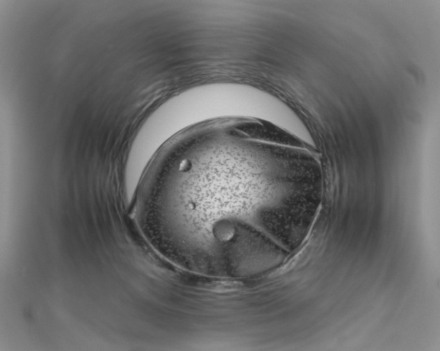 X0000112810128200909041502