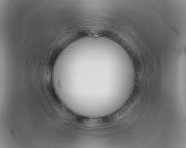 X0000112810129200909041502