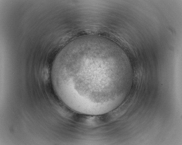 X0000112810130200909041502