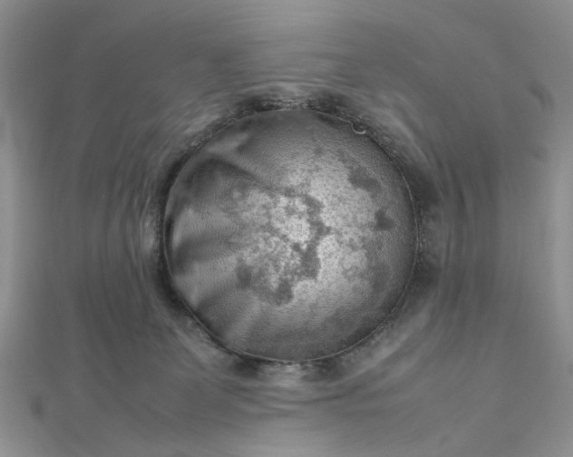 X0000112810131200909041502