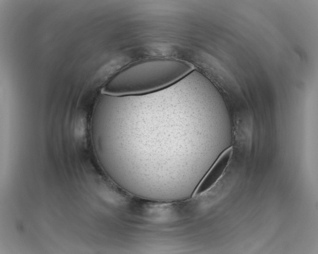 X0000112810132200909041502