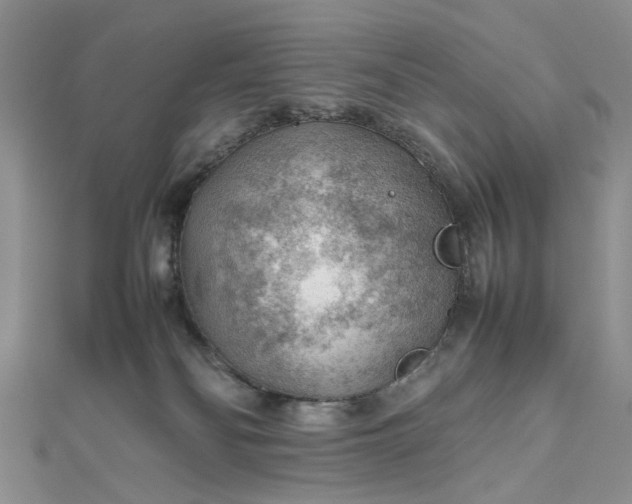 X0000112810134200909041502