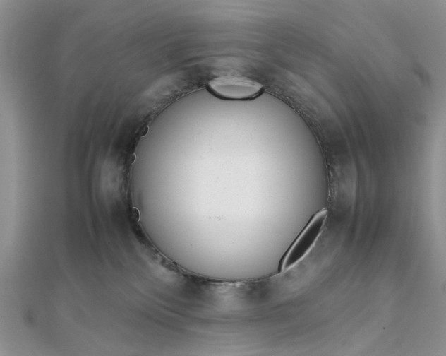 X0000112810136200909041502