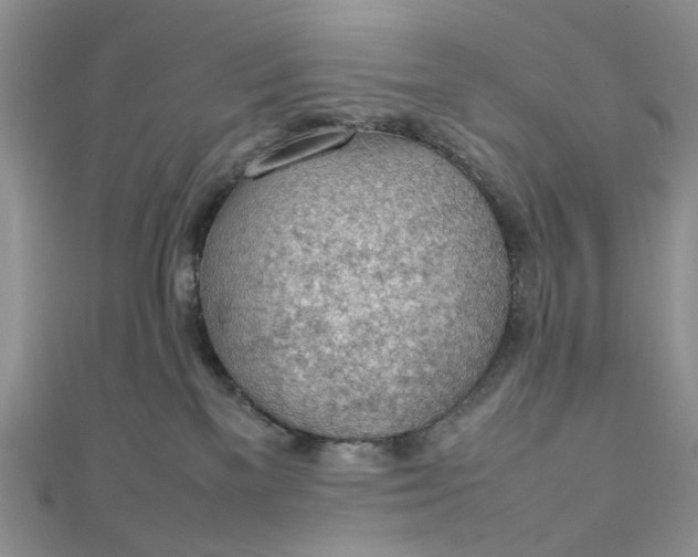 X0000112810137200909041502