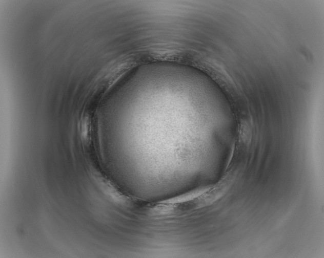 X0000112810138200909041502