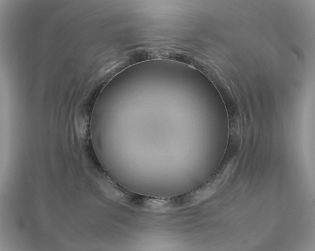 X0000112810139200909041502