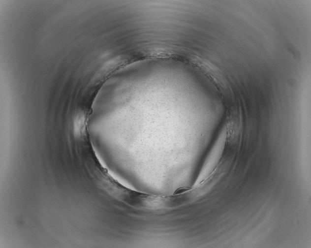 X0000112810142200909041502