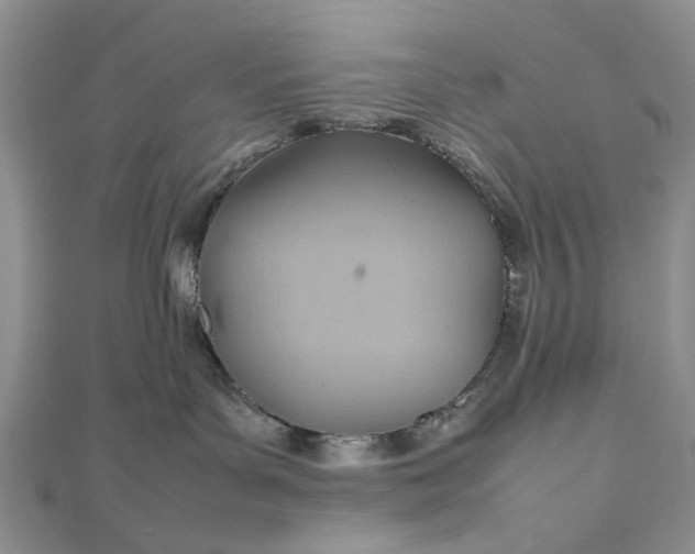 X0000112810143200909041502