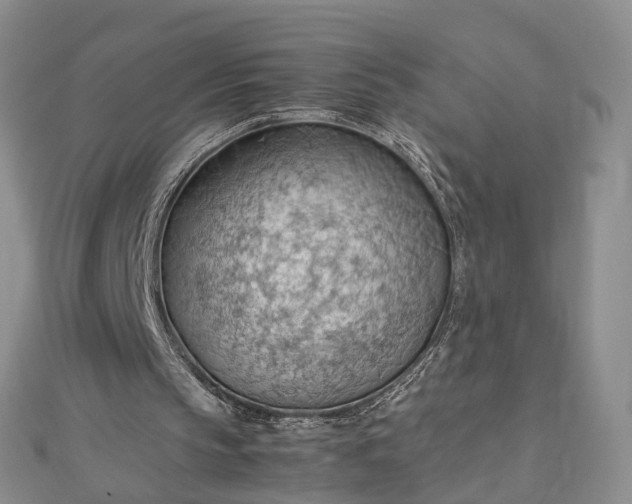 X0000112810145200909041501