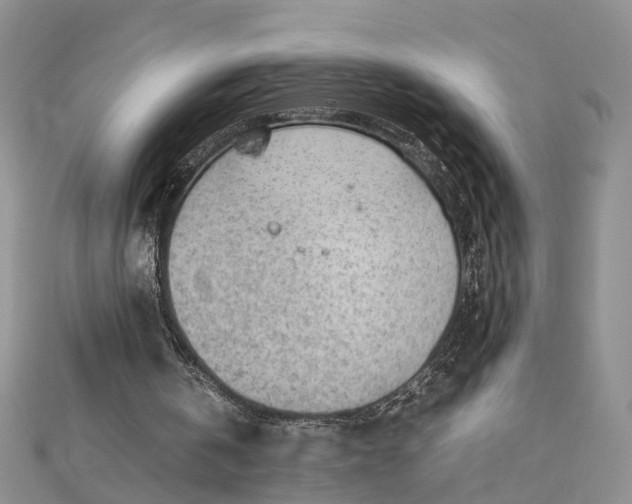 X0000112810146200909041501