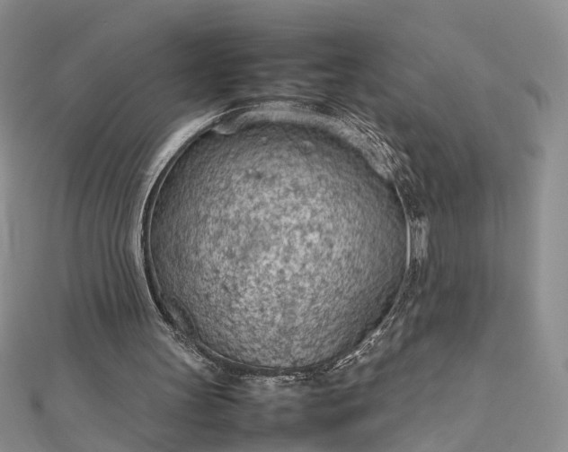 X0000112810147200909041501