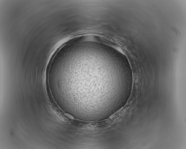 X0000112810148200909041501