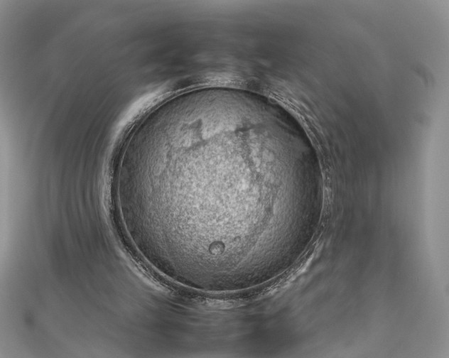 X0000112810149200909041501