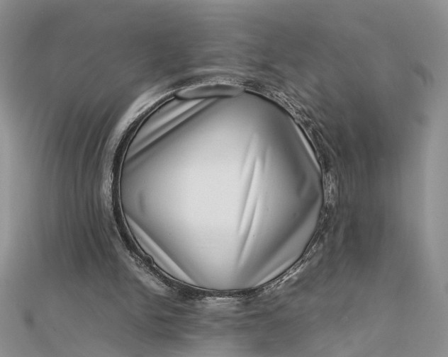 X0000112810150200909041501