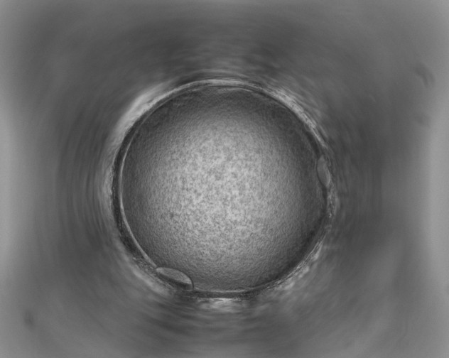 X0000112810151200909041501