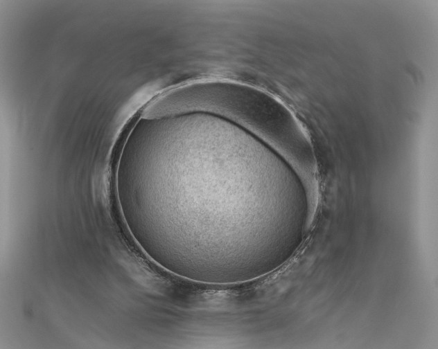 X0000112810152200909041501