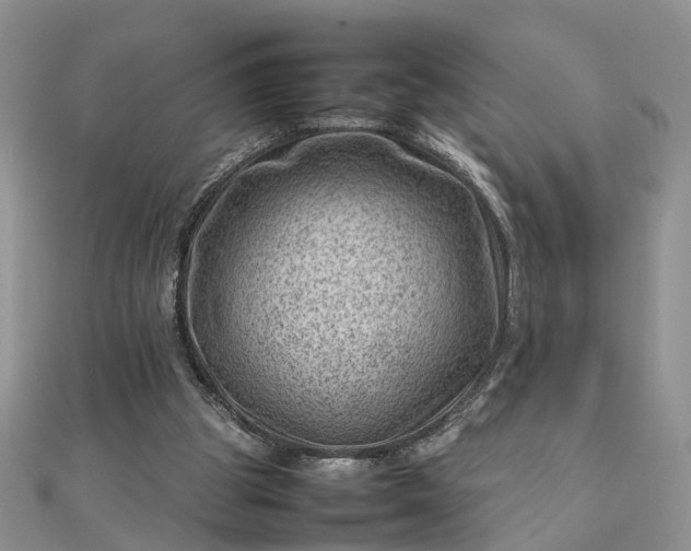 X0000112810153200909041501