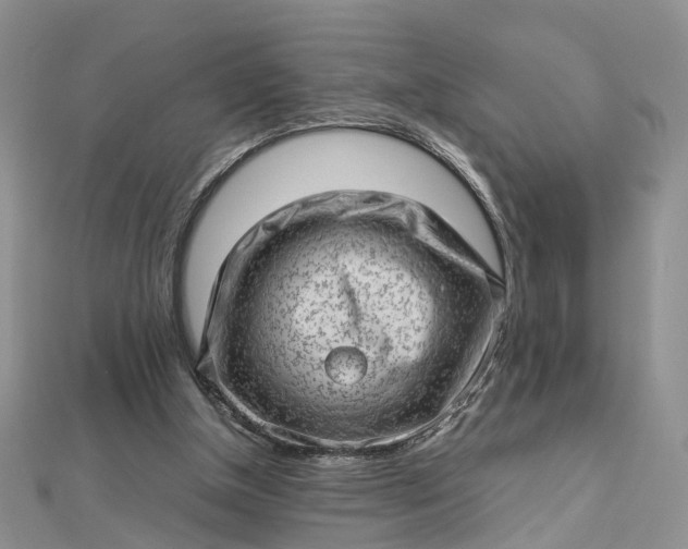 X0000112810154200909041501