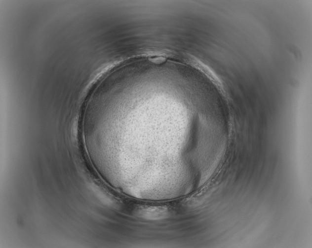 X0000112810155200909041501