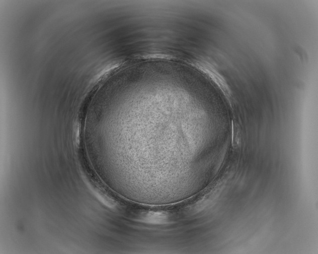 X0000112810157200909041501