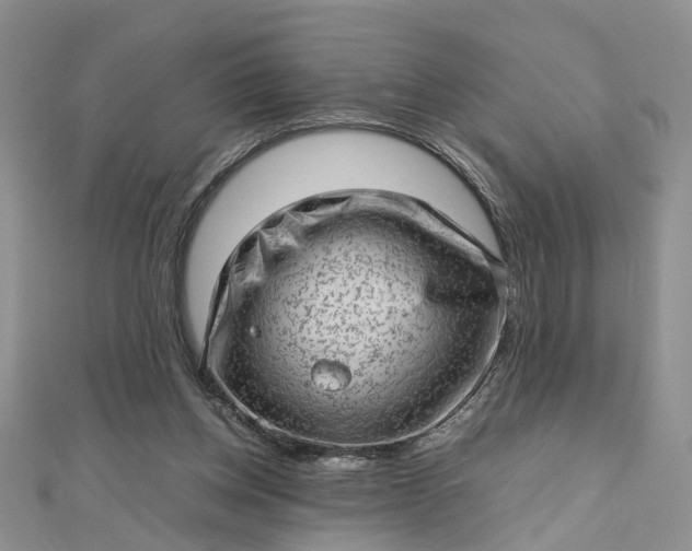 X0000112810158200909041501