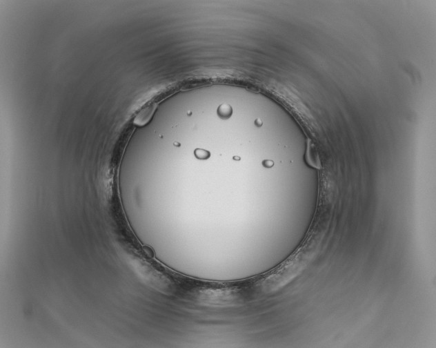 X0000112810160200909041501