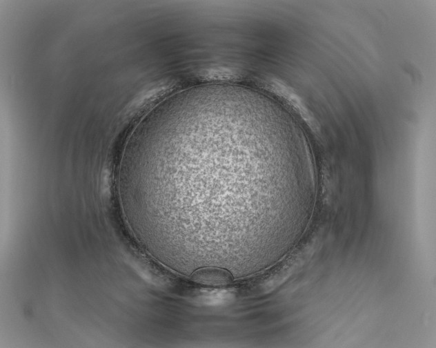 X0000112810161200909041501