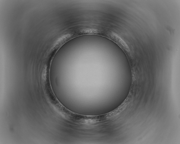 X0000112810163200909041501