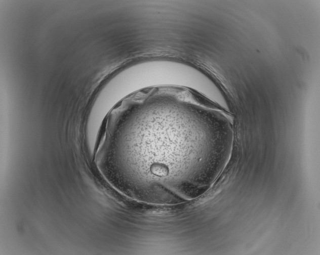 X0000112810164200909041501