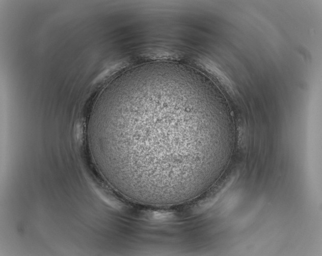 X0000112810165200909041501