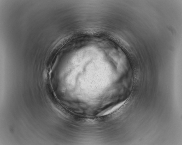 X0000112810166200909041501