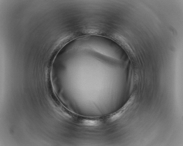 X0000112810167200909041501