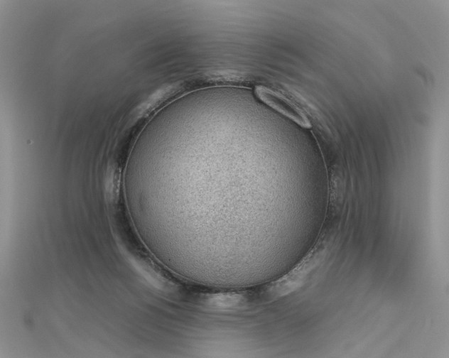 X0000112810168200909041502