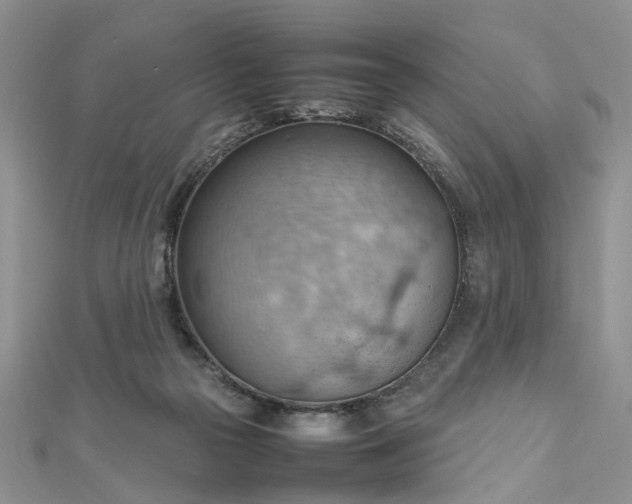 X0000112810169200909041502