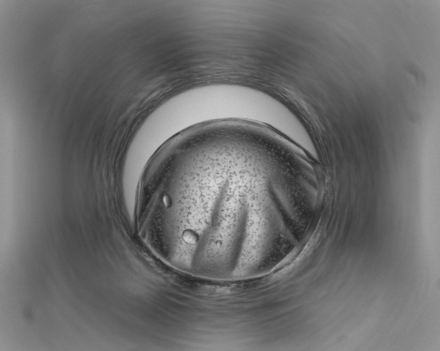 X0000112810170200909041502