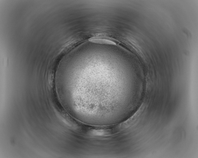 X0000112810171200909041502