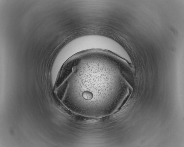 X0000112810172200909041502