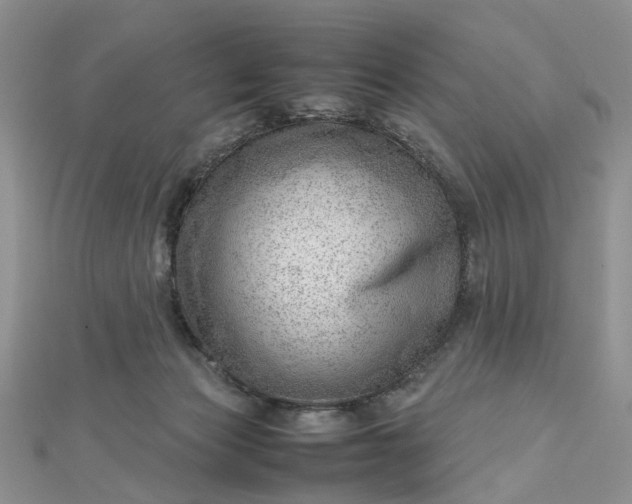 X0000112810173200909041502