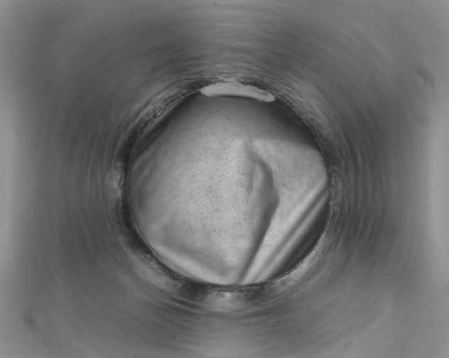 X0000112810174200909041502