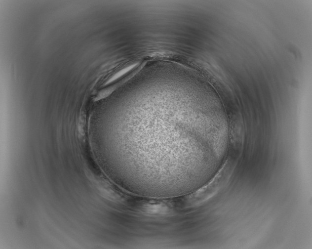 X0000112810175200909041502