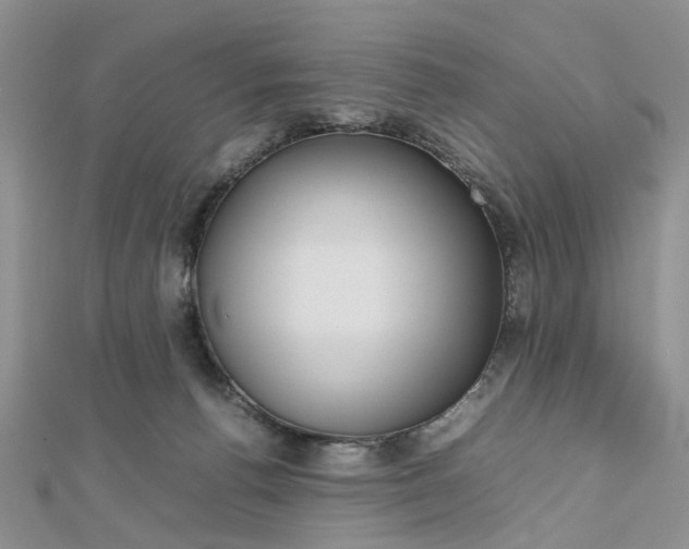 X0000112810176200909041502